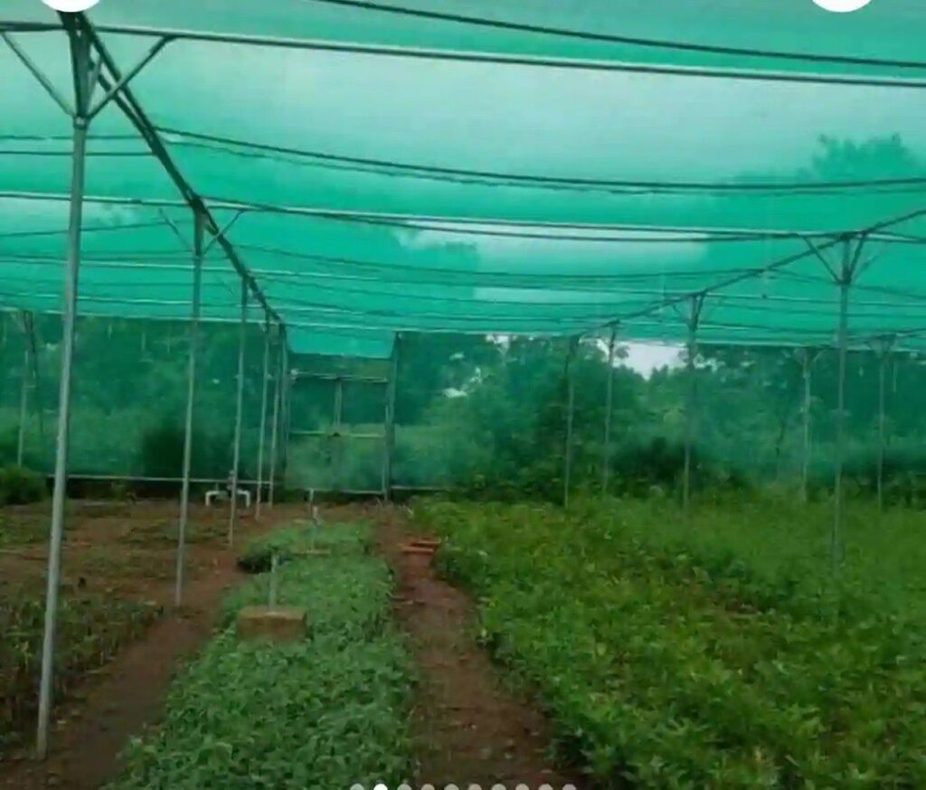 Agriculture Safety nets in hyderabad