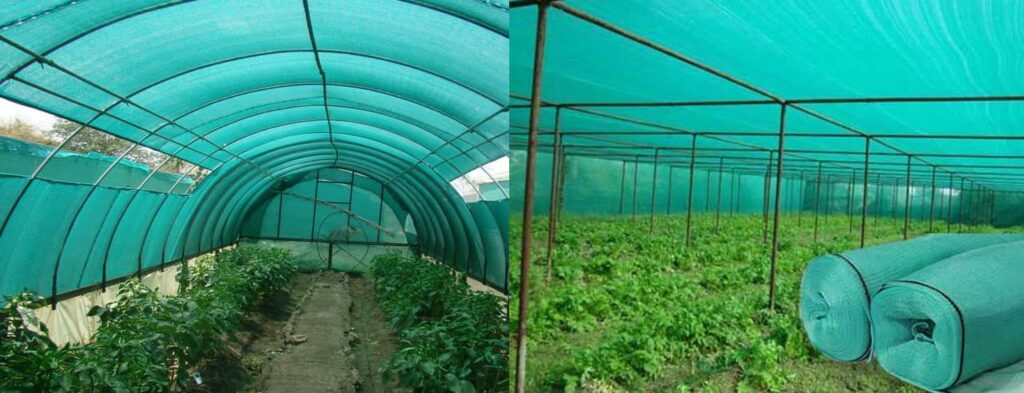Affordable Agriculture safety Nets in Hyderabad