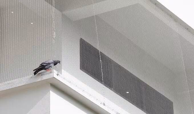 Affordable window bird safety nets in hyderabad