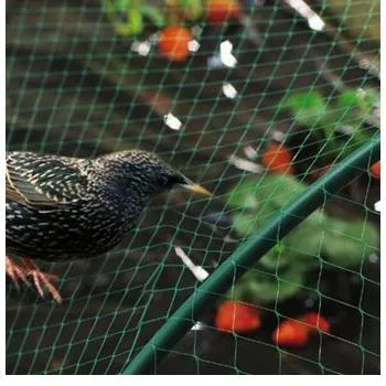 top and best bird protection nets