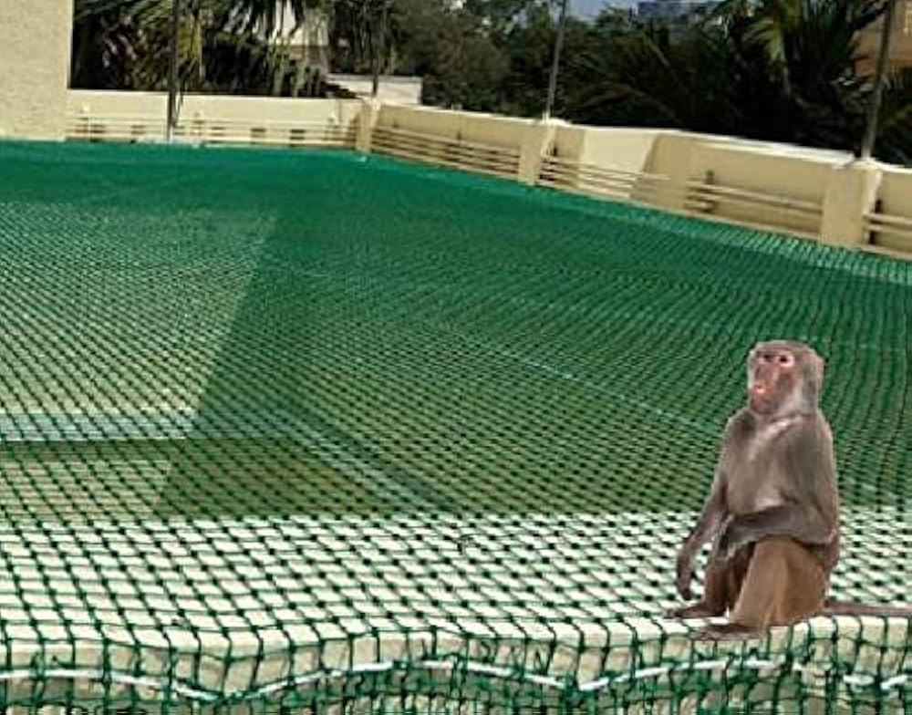 top and best monkeys safety nets in