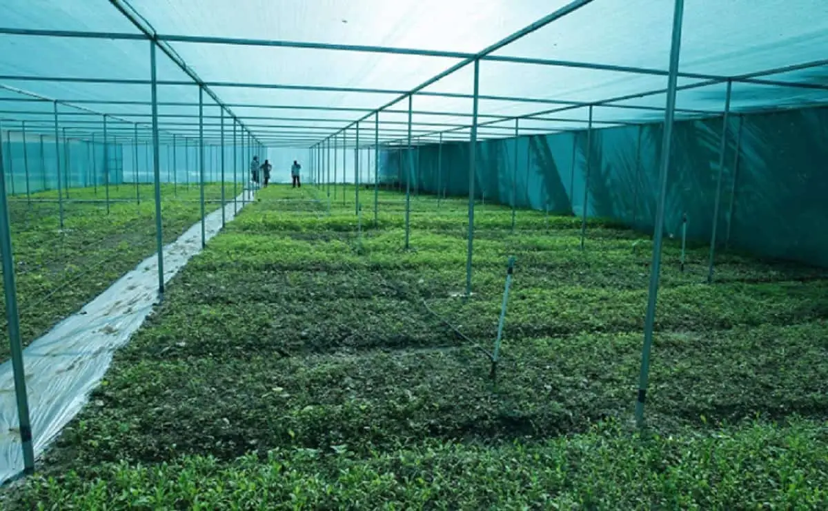 top and best shade nets in  hyderabad with affordable prices
