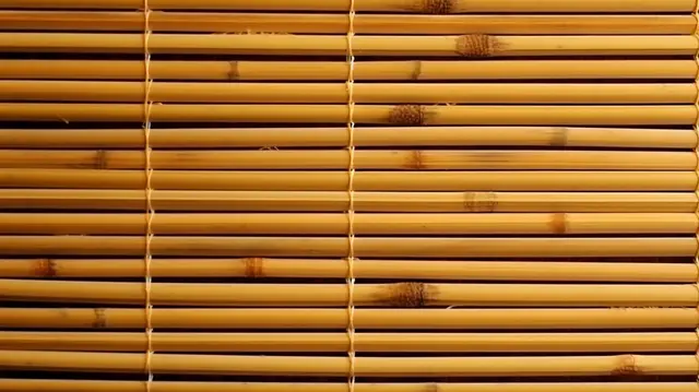 affordable bamboo blinds in hyderabad